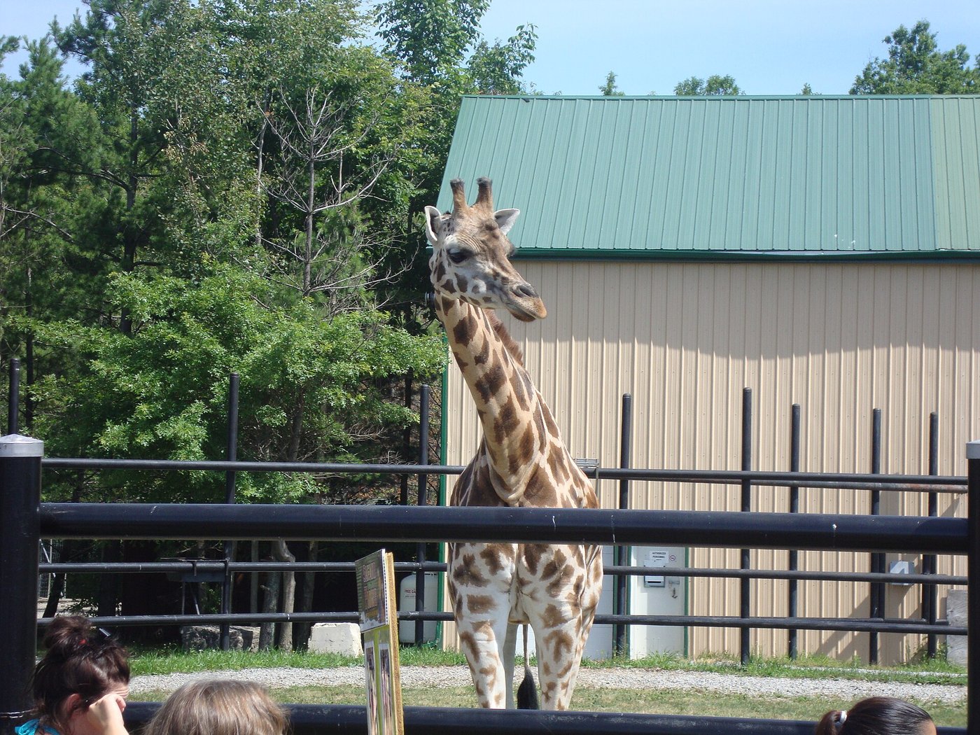 Safari Niagara — 15 min drive from The Wanderlust 29